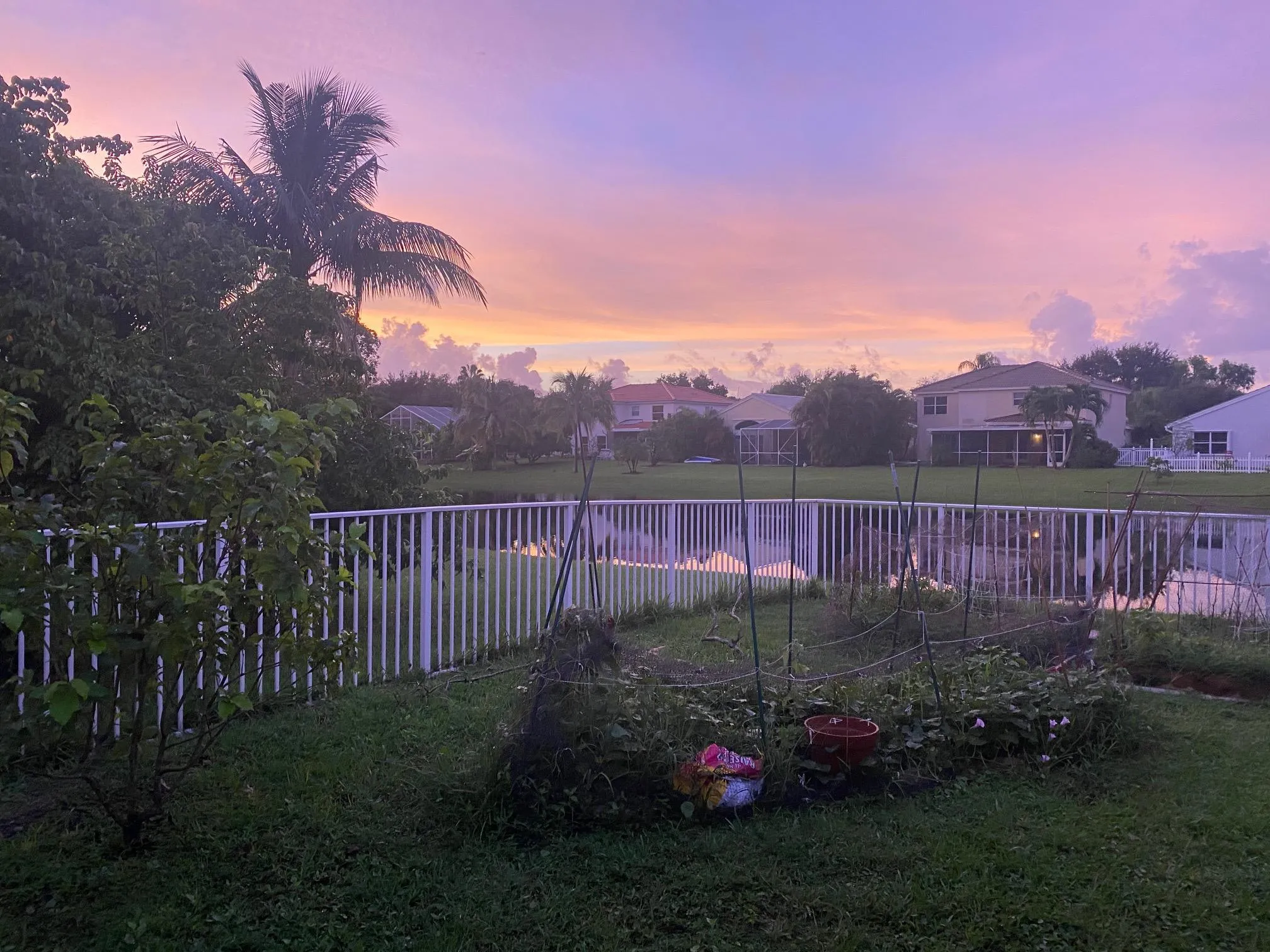 LAke view