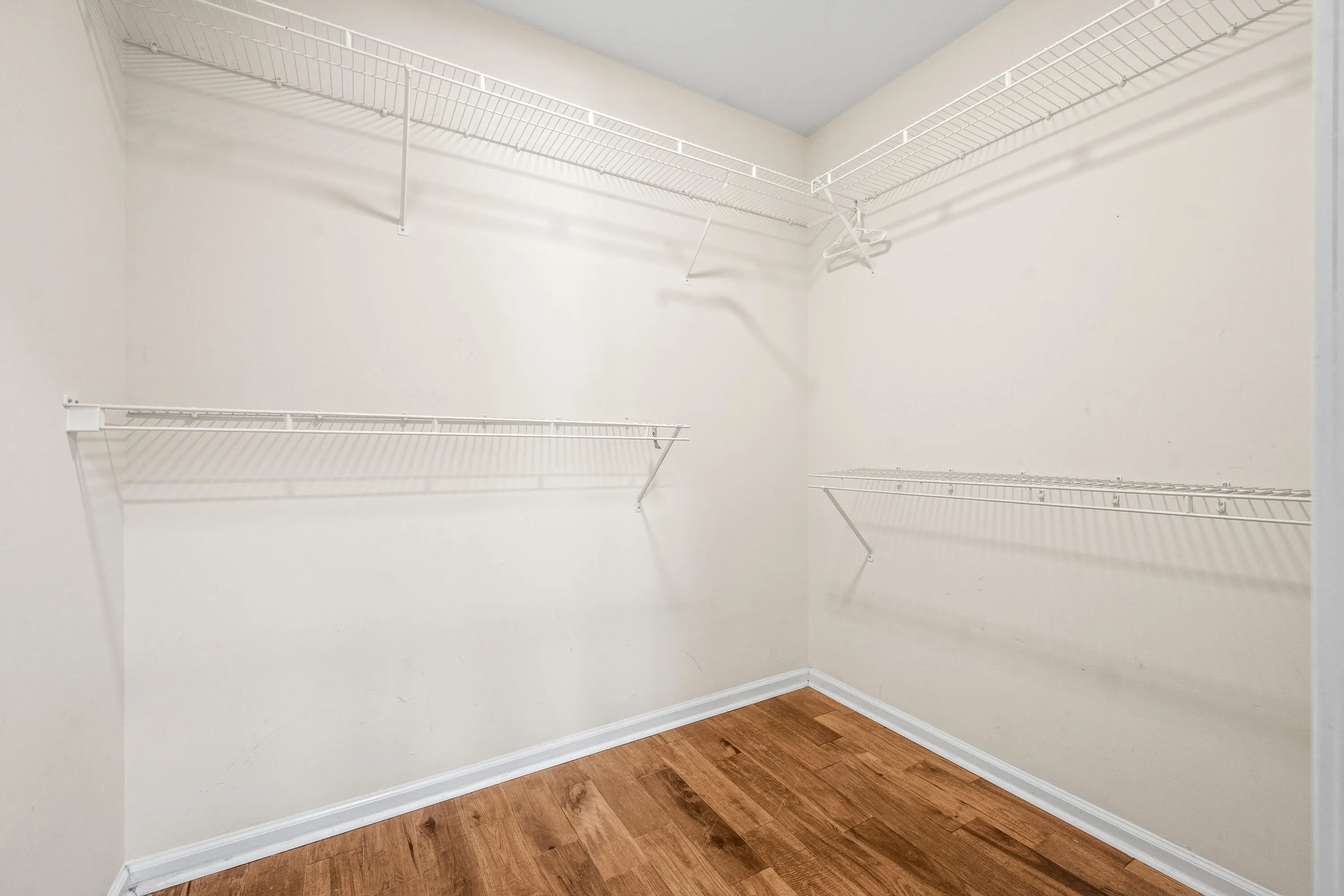 Primary Walk in Closet