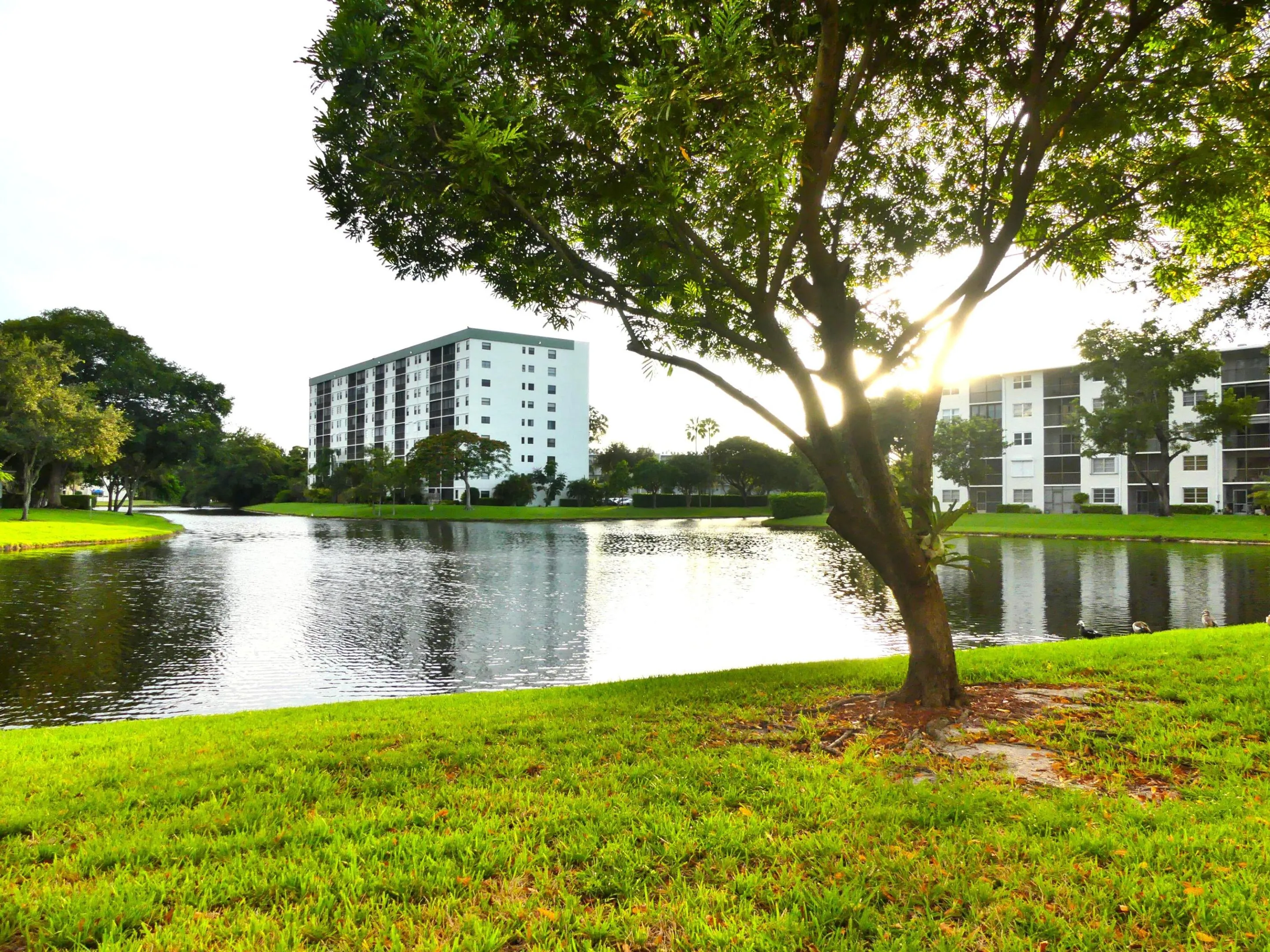 Lake View