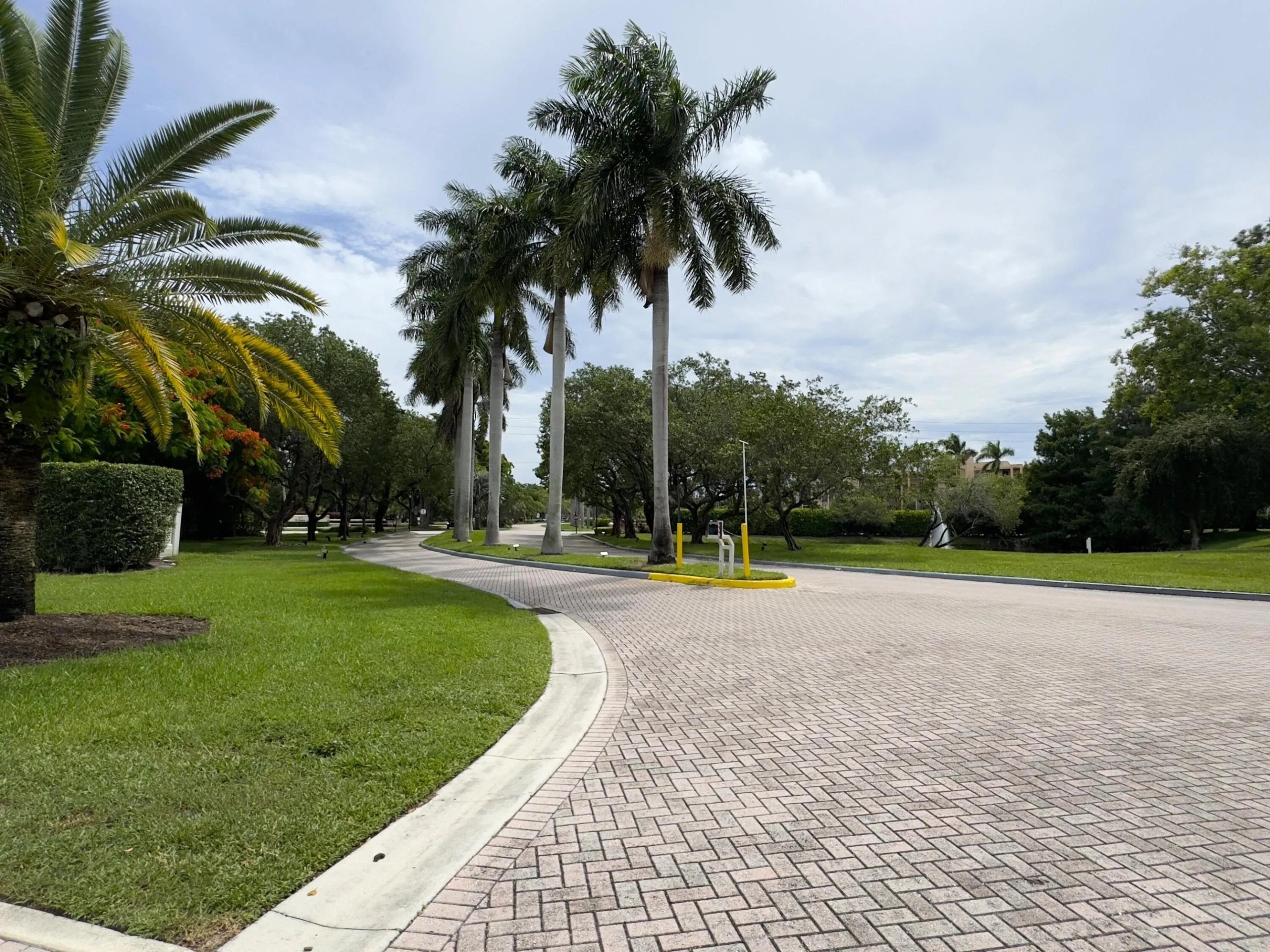 Tree Lined Community