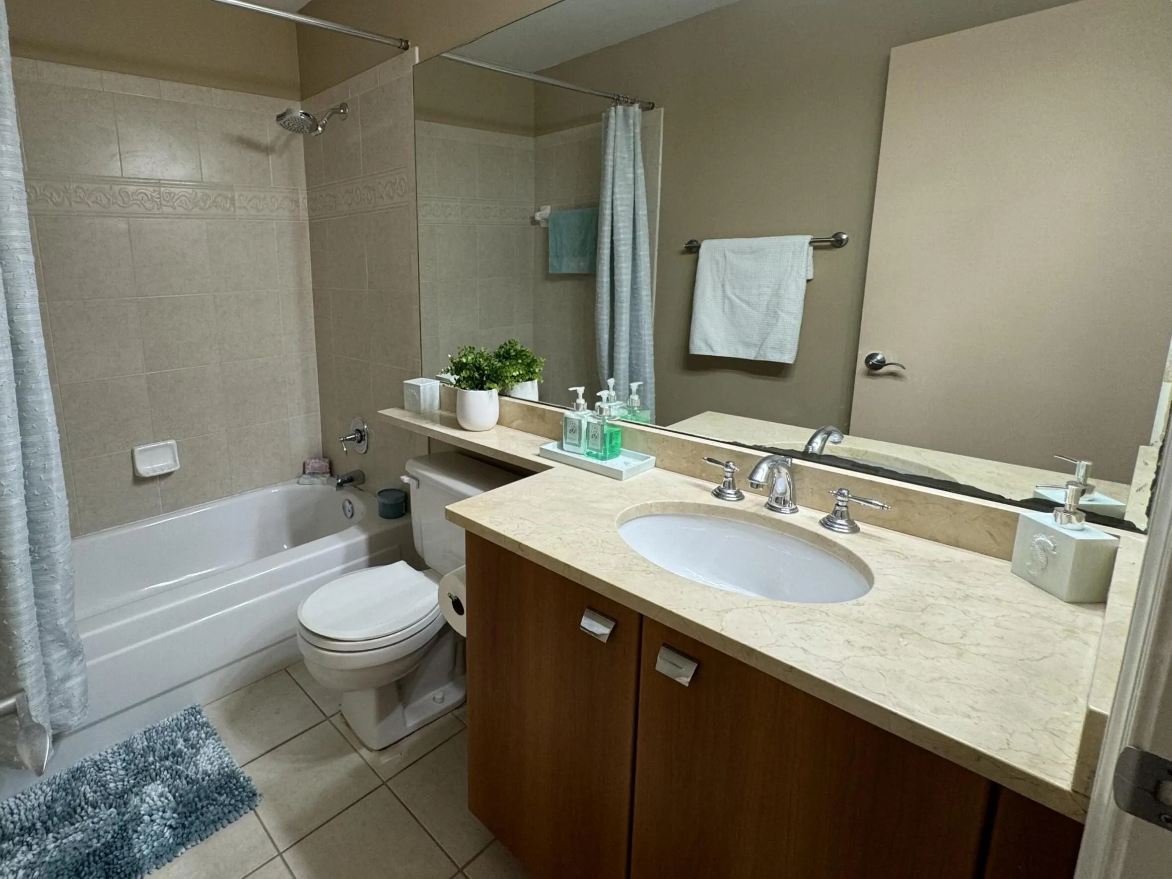 The Guest Bathroom