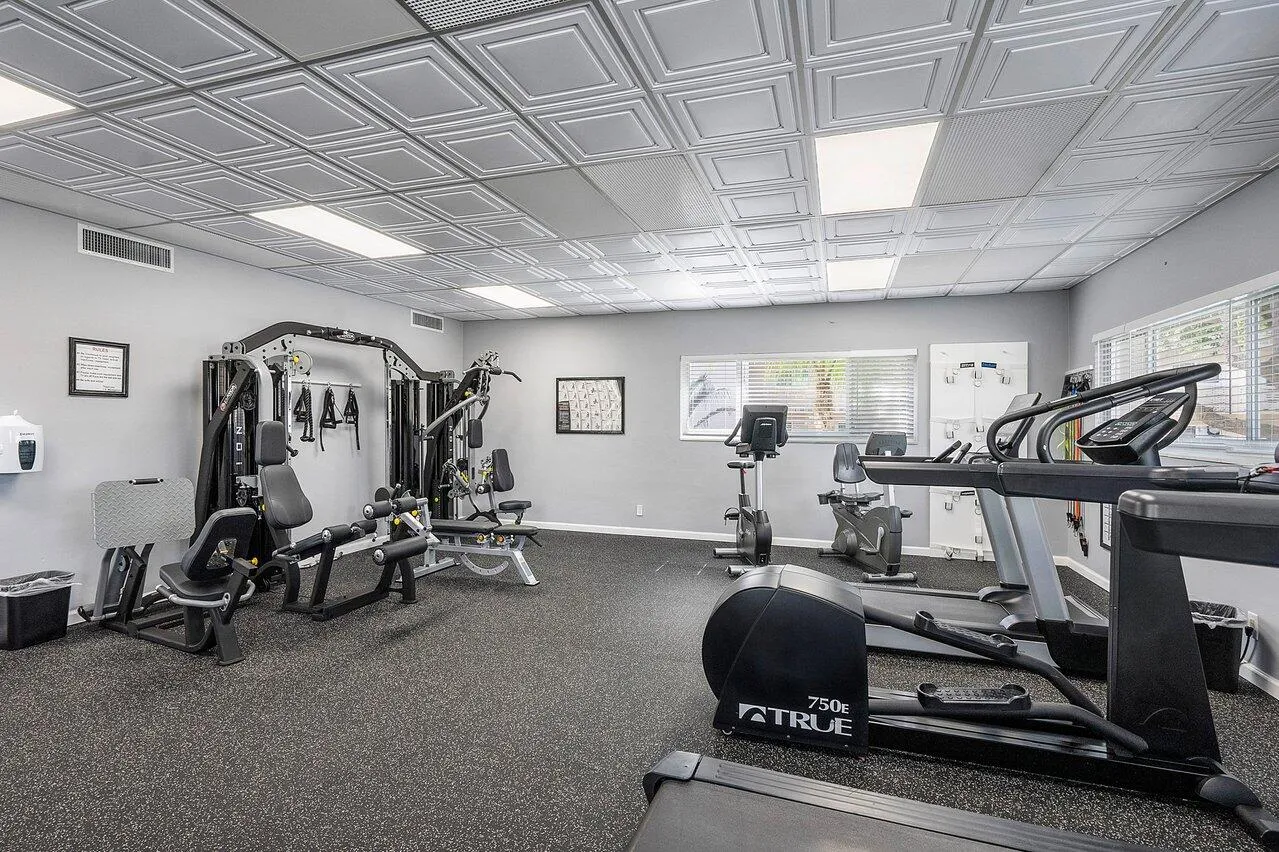 gym 3