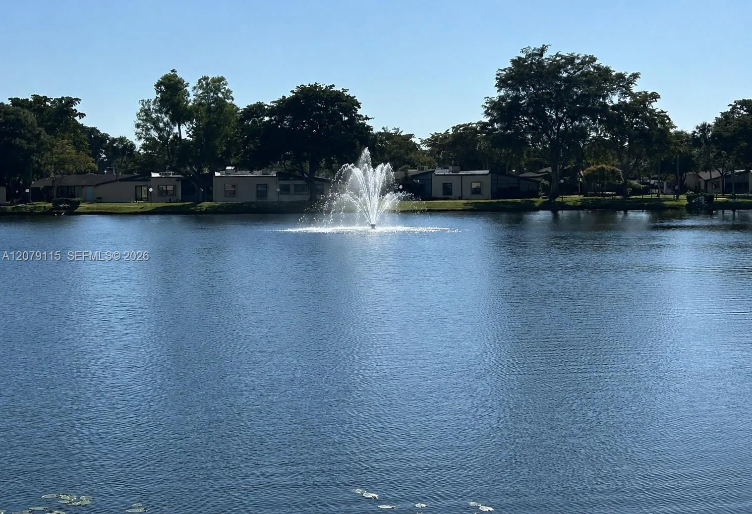 Community lake