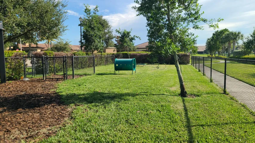 Dog Park