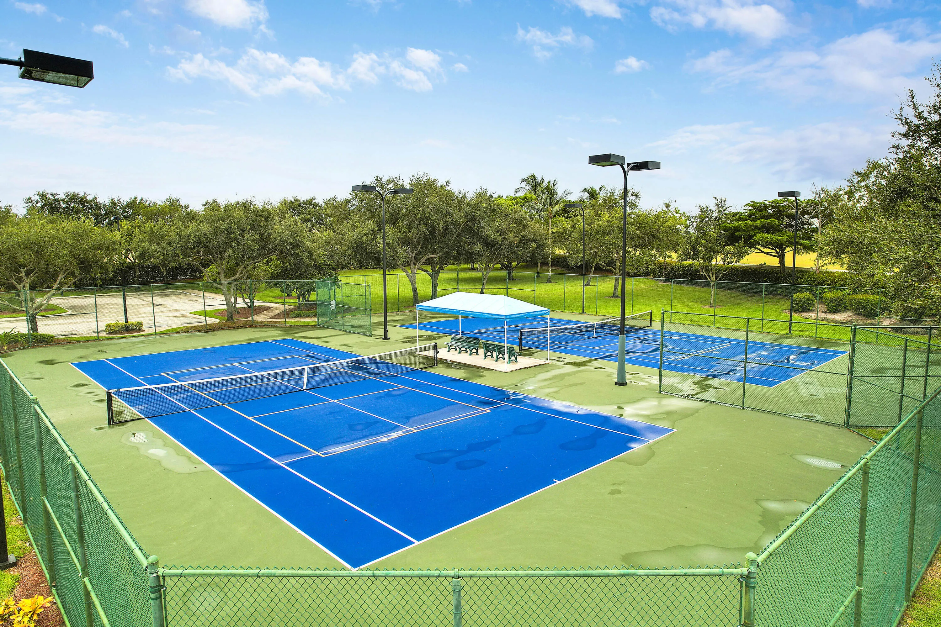 Tennis/Pickleball