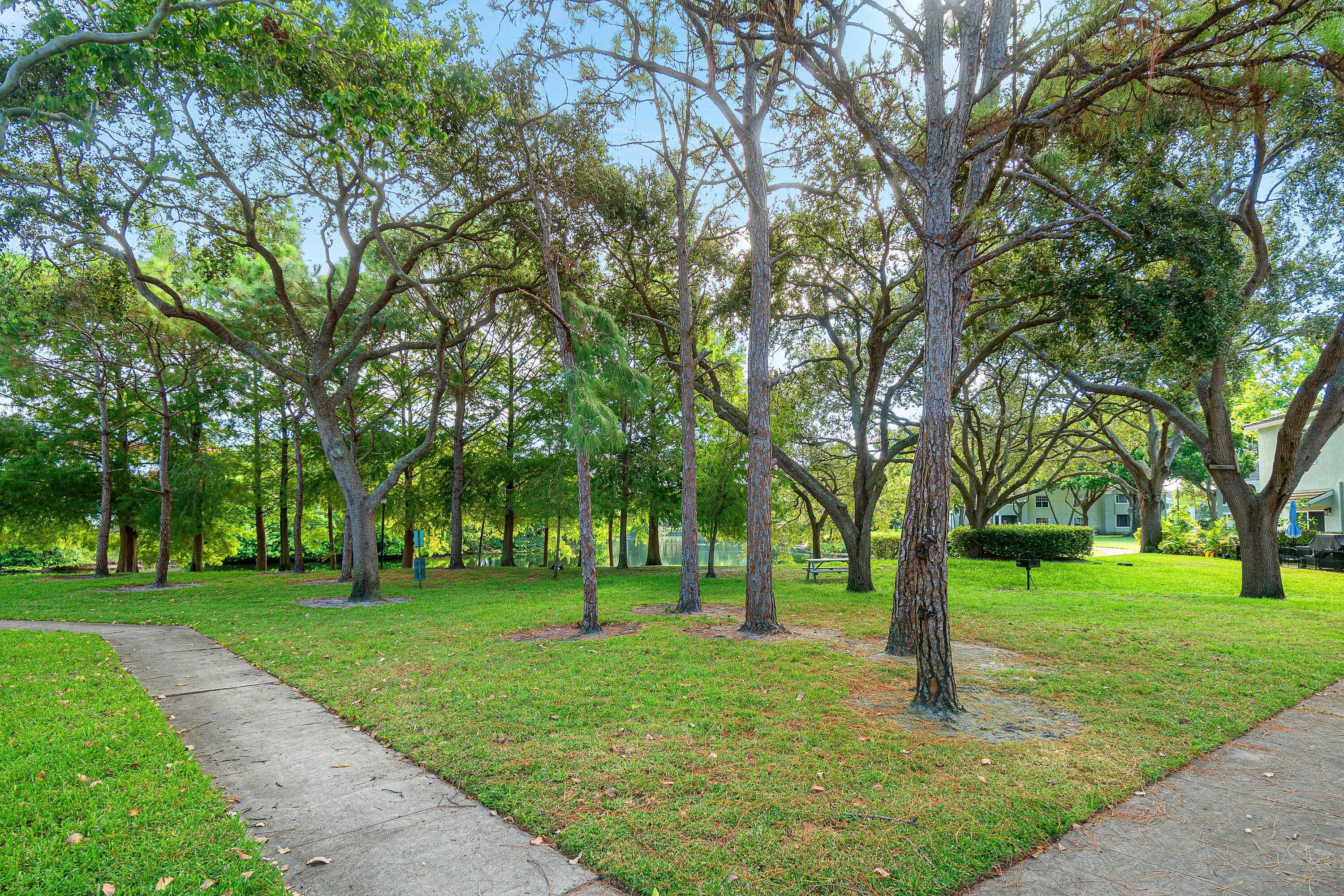 Waterfront and Green Space