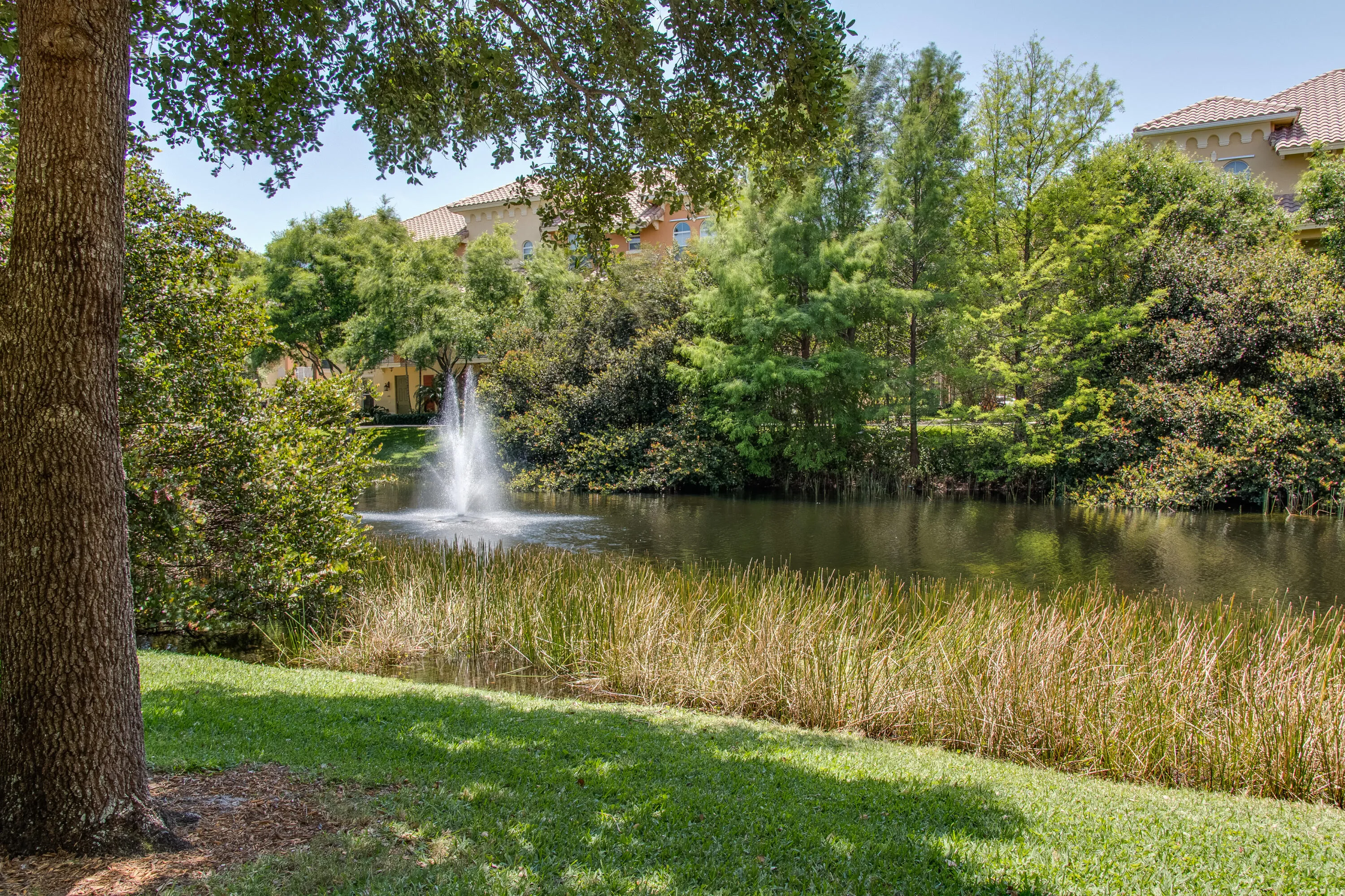042-1660RenaissanceCommonsBoulevard-2421