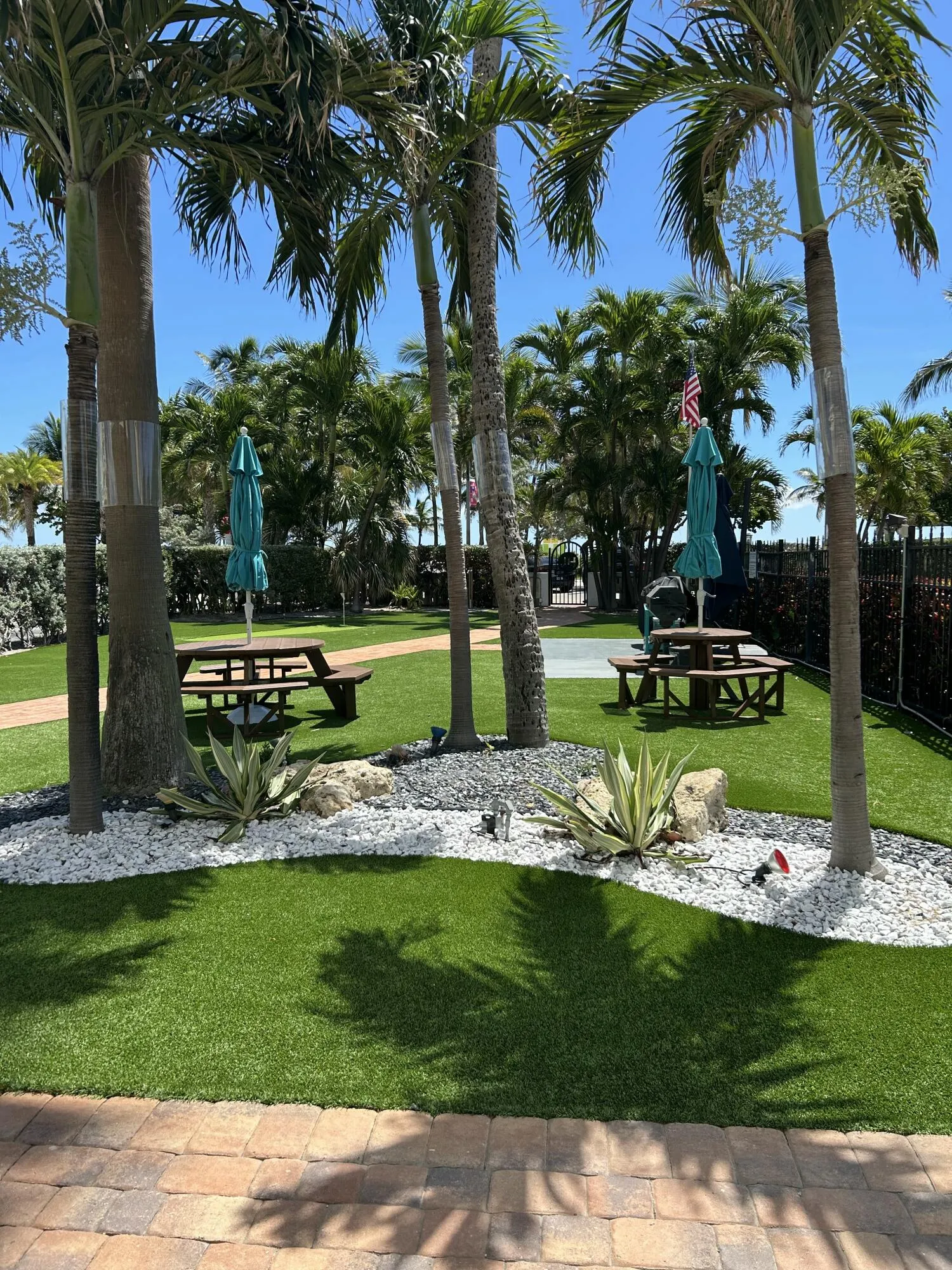IMG_3405