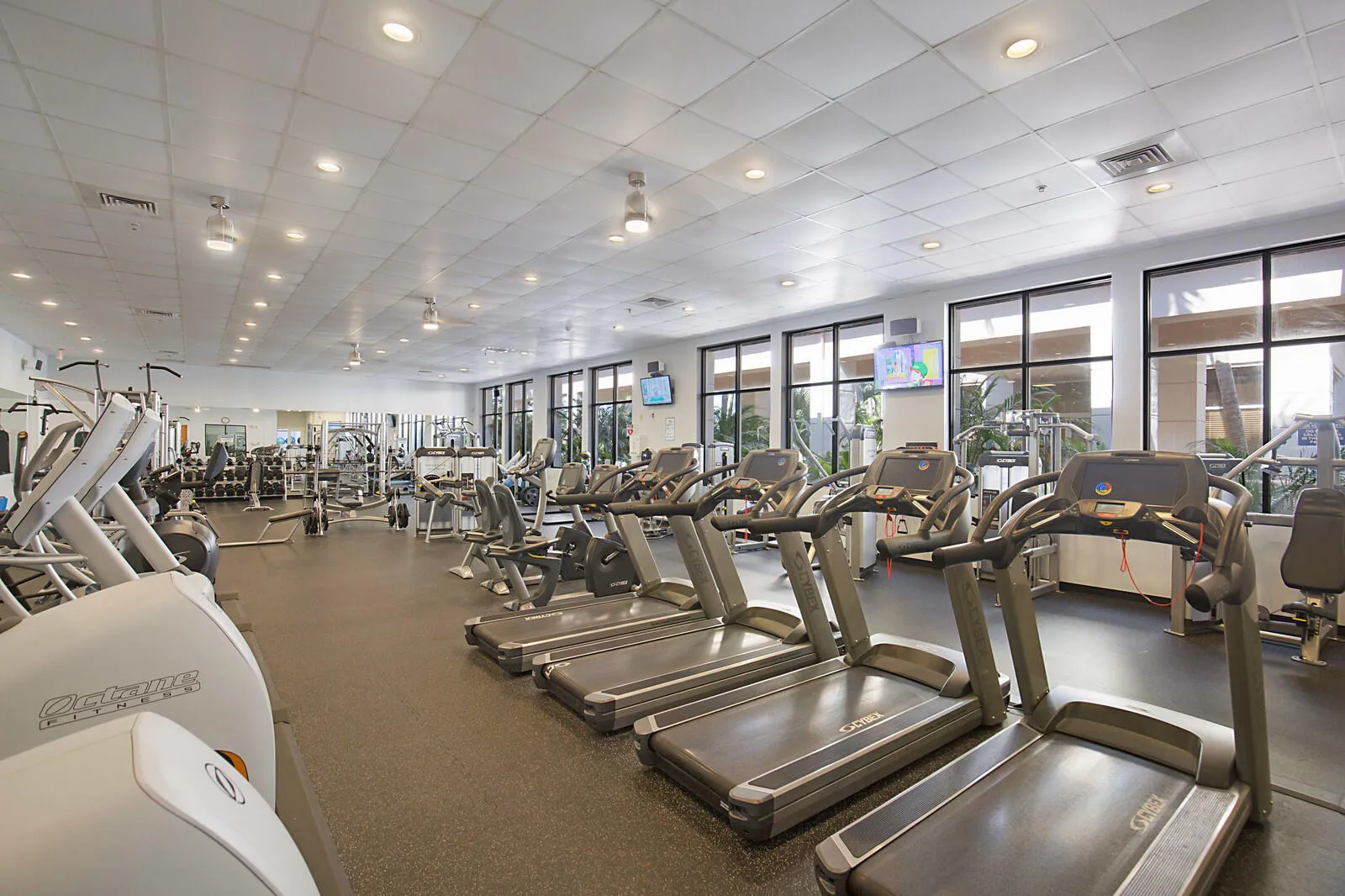 22_Mission_Bay_Amenities__22_of_24_mls