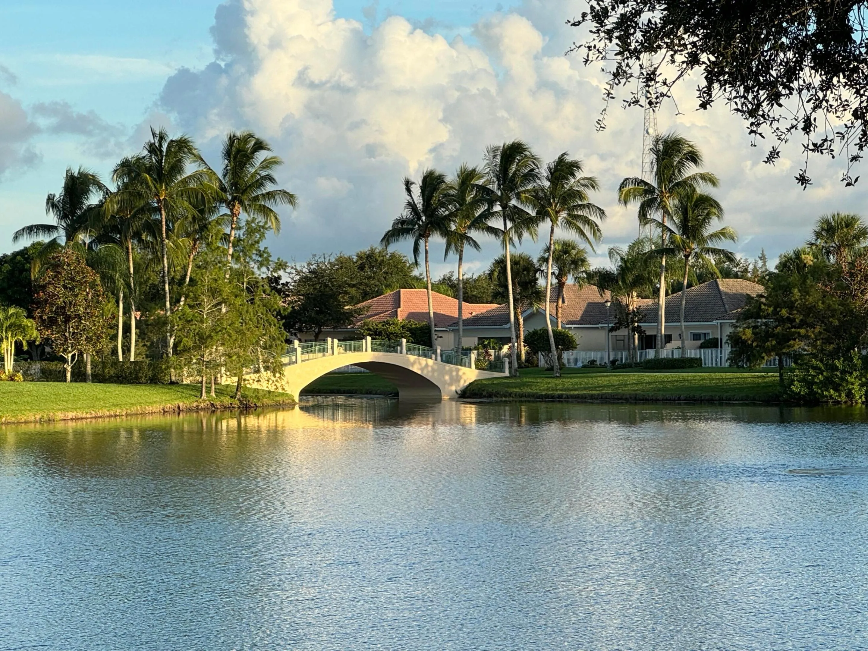 bridges