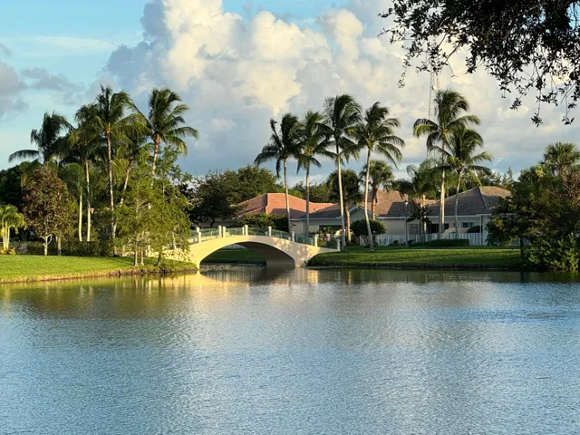 bridges