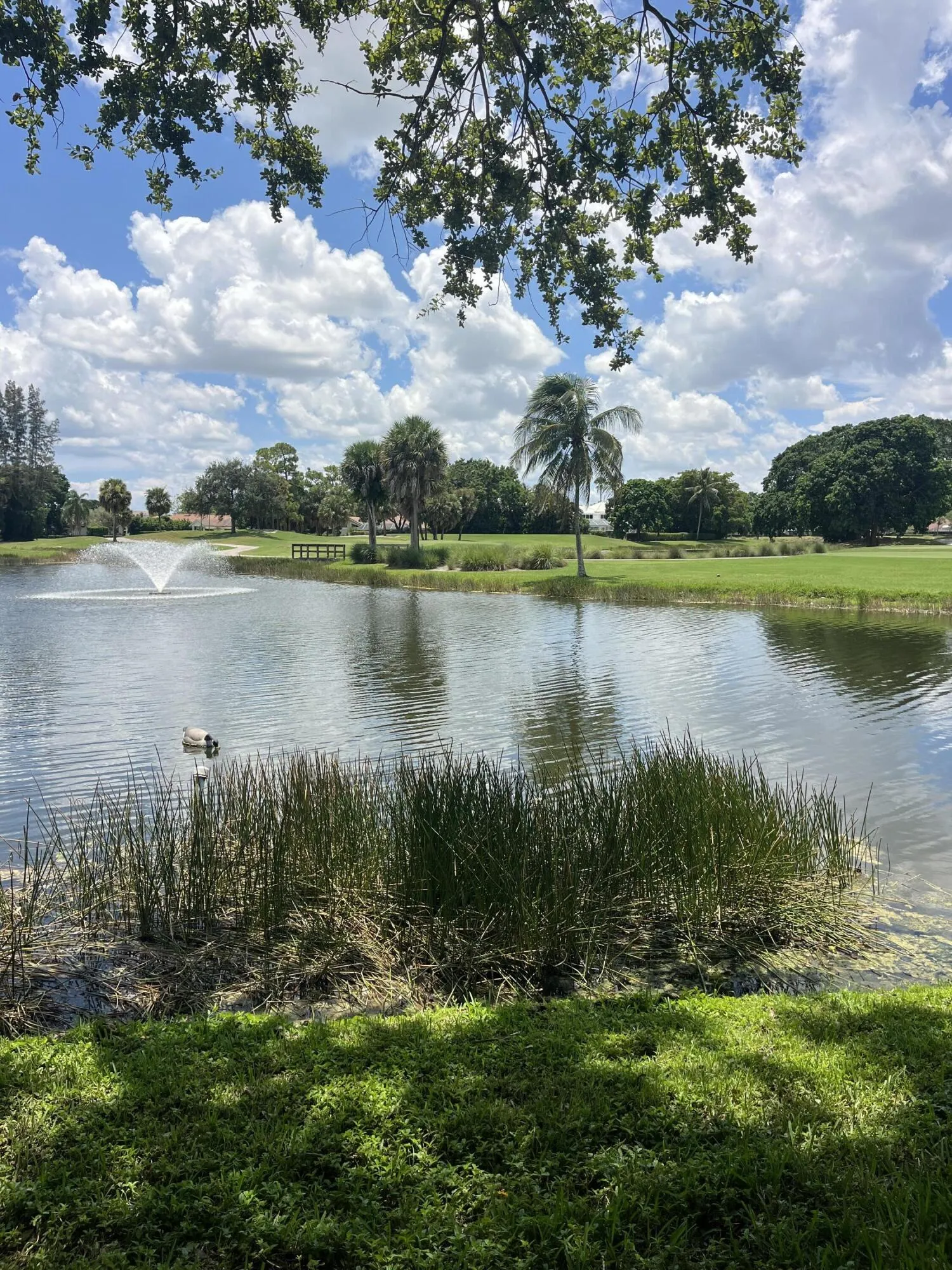 Golf & Waterview