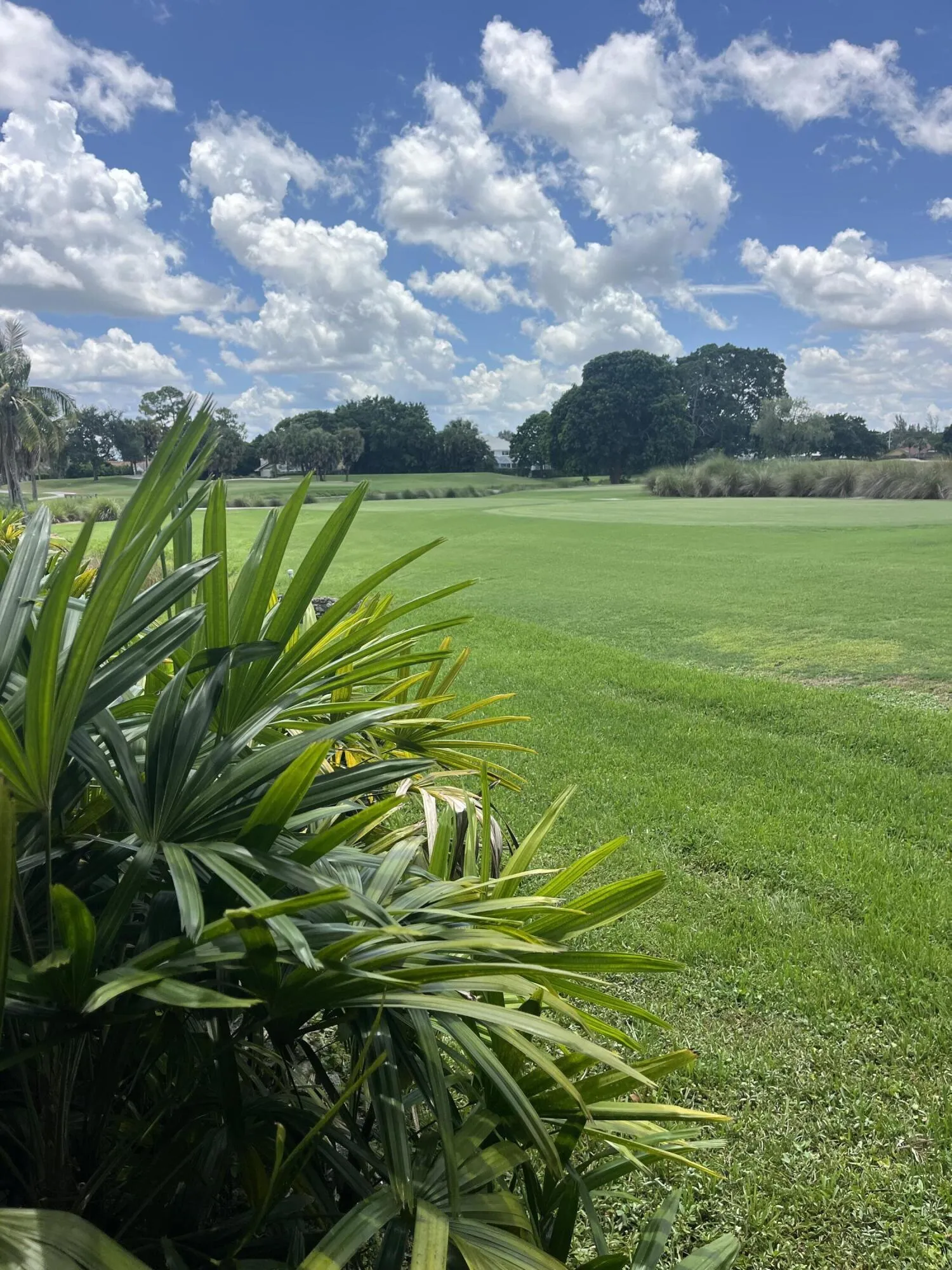Golf Course View