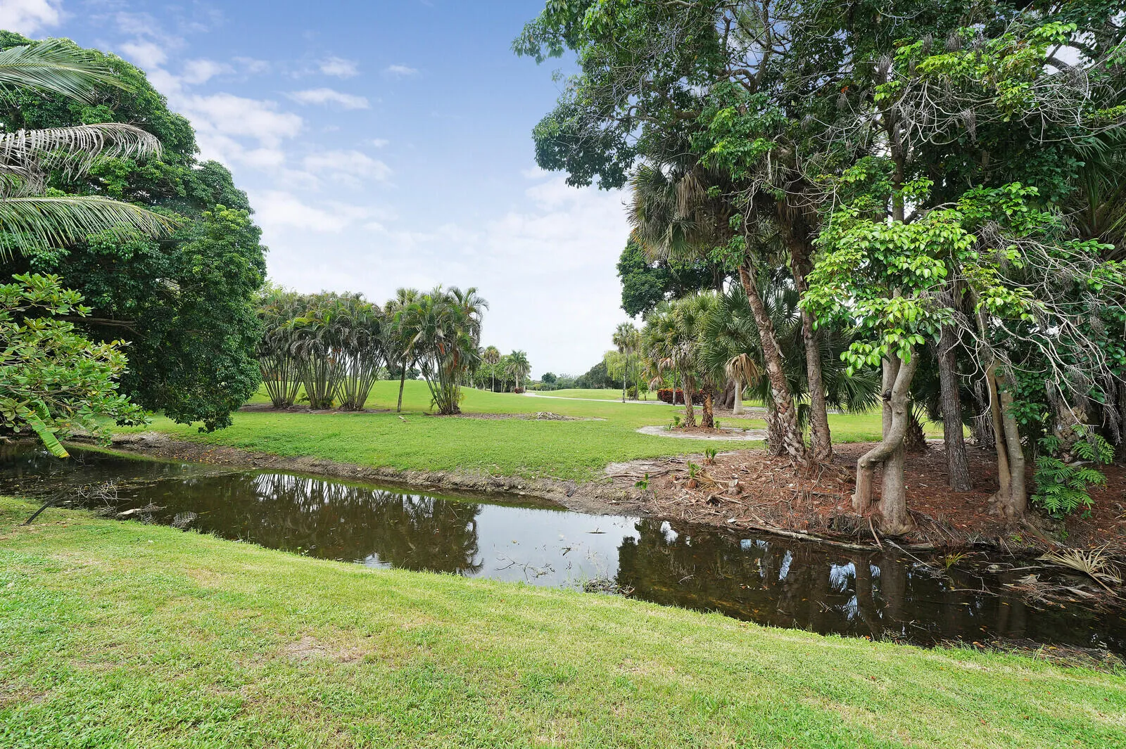 Lush green landscaping with mature trees and a tranquil water feature