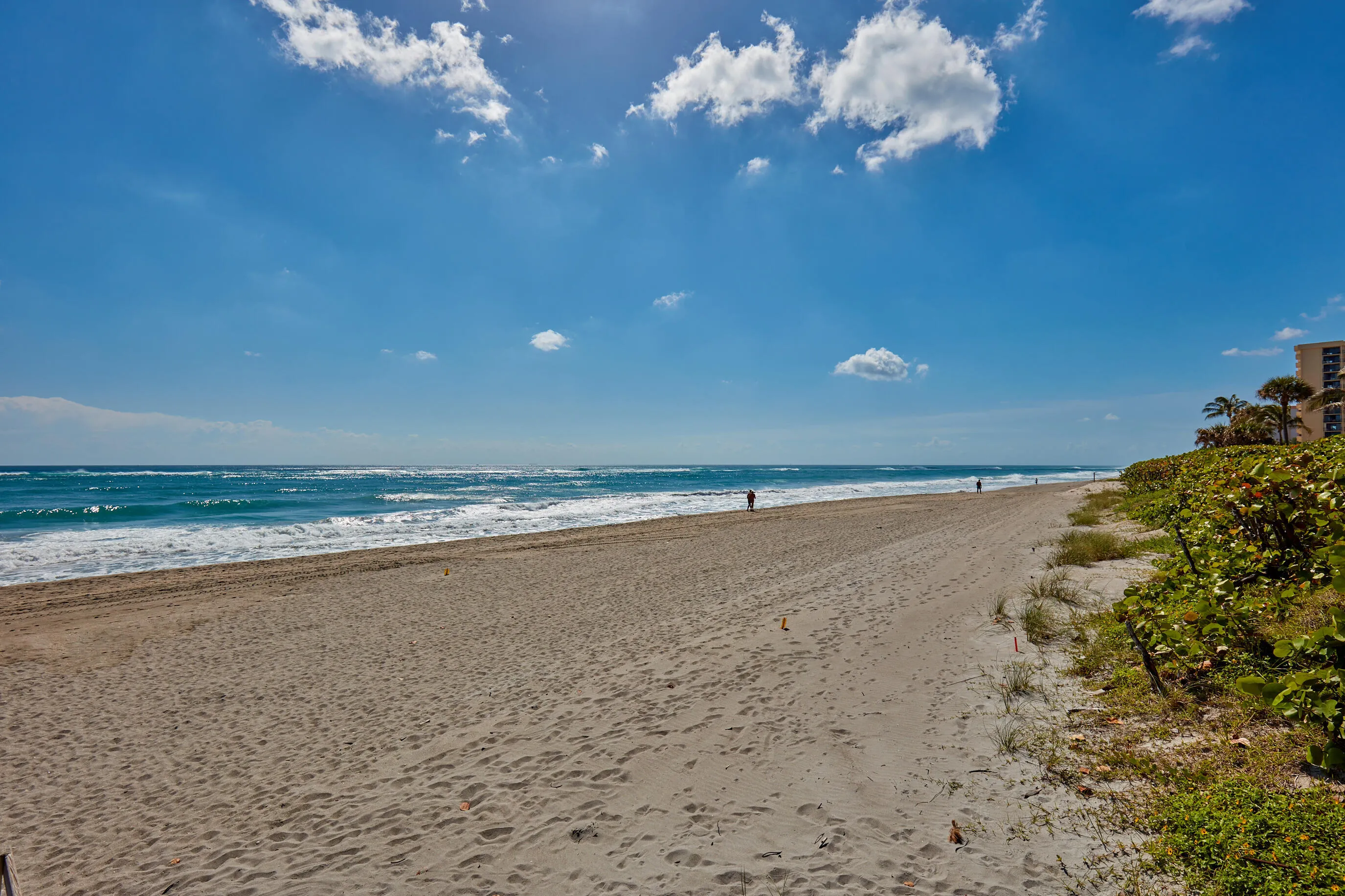 Beach at Ocean Trail