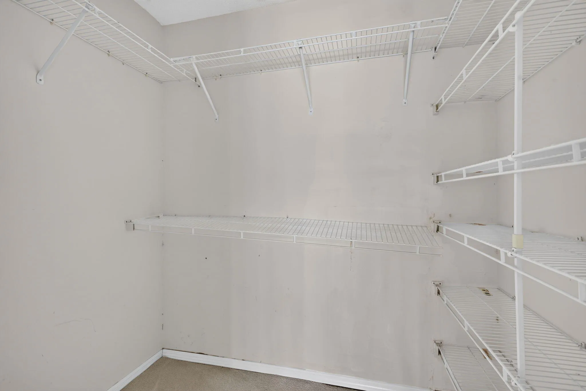 39-web-or-mls-3151-8267