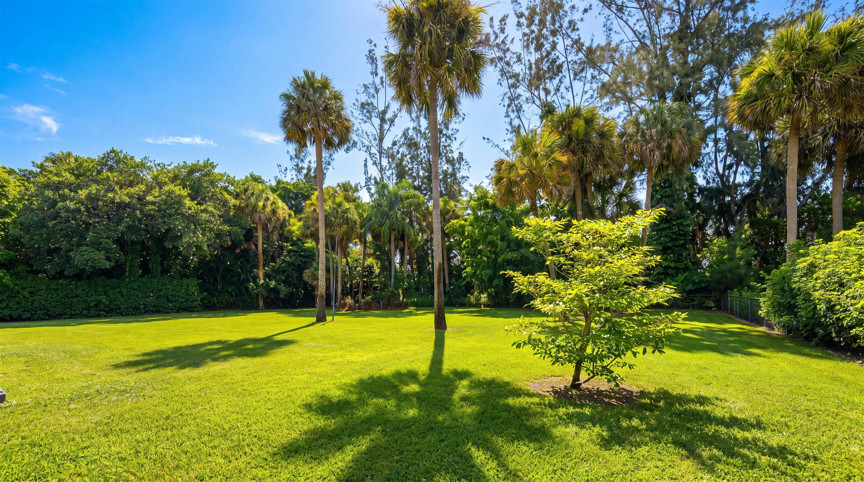 Property photo 62