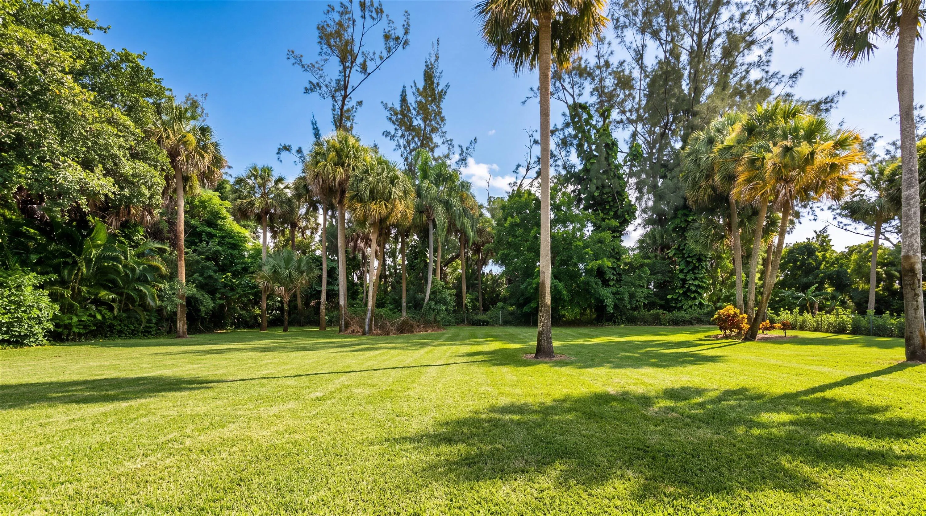 Property photo 59