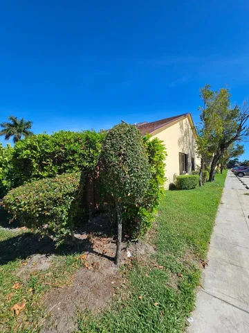 Curb View
