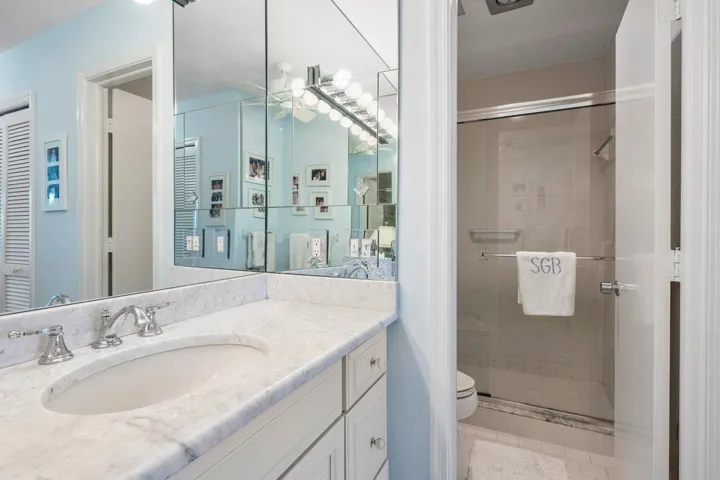 Main Bath shower area