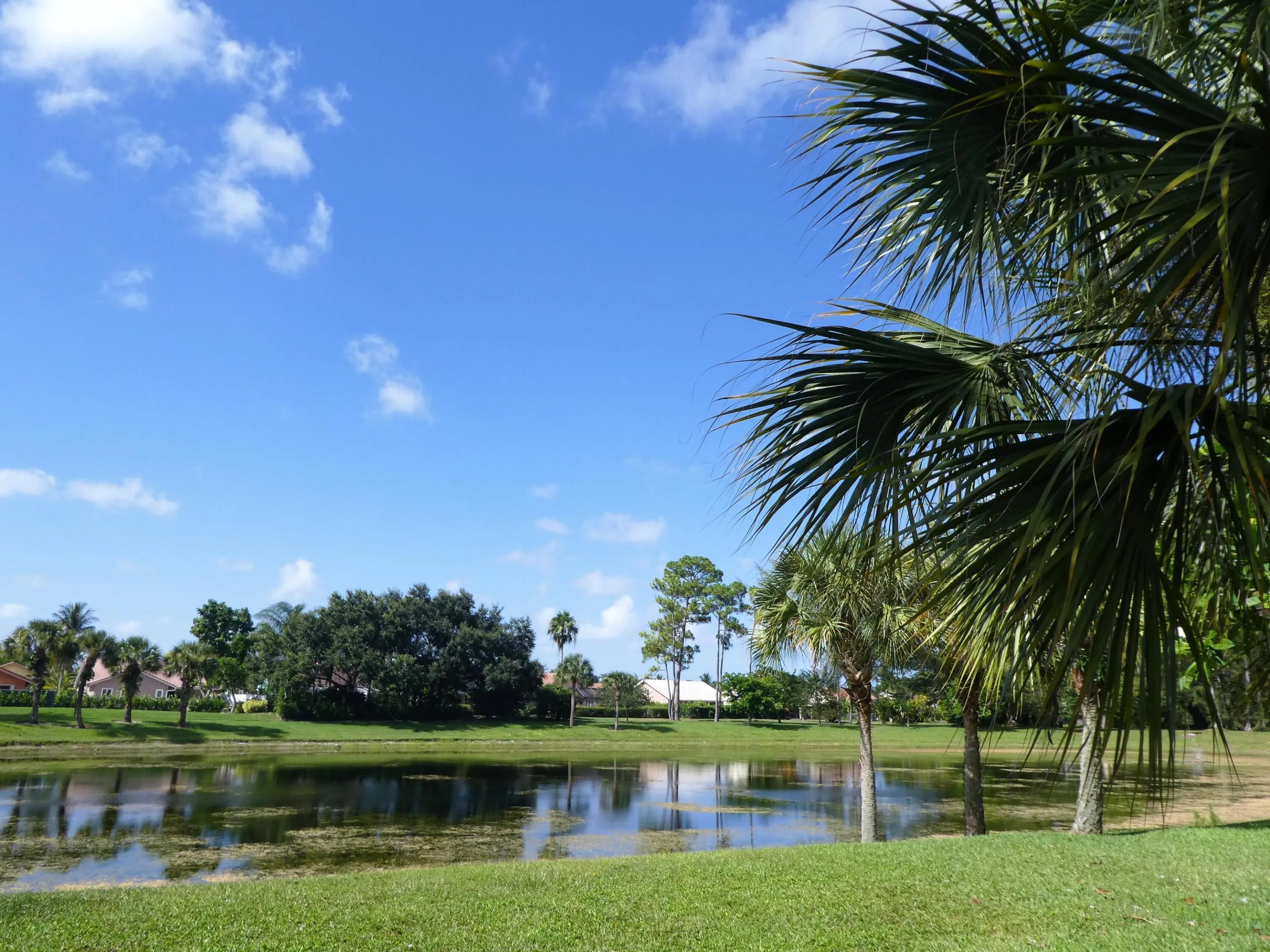 WOODS AT BOCA DEL MAR (4)