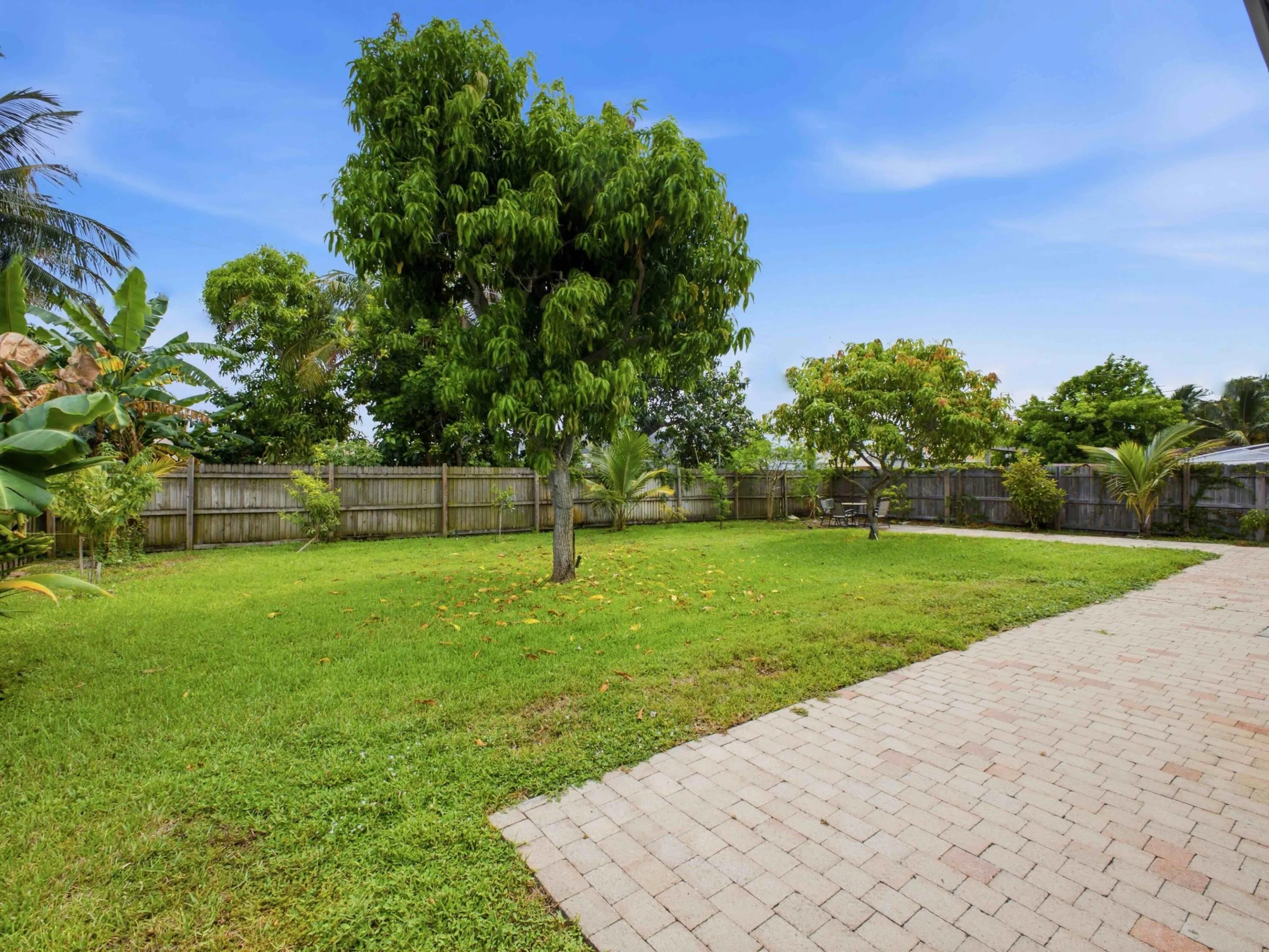 Backyard_2