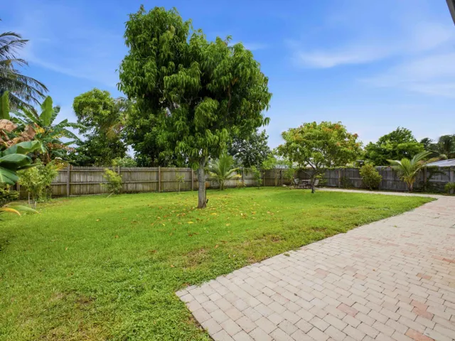 Backyard_2