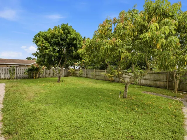Backyard_1