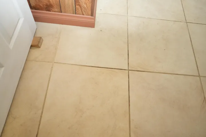 DSC00325