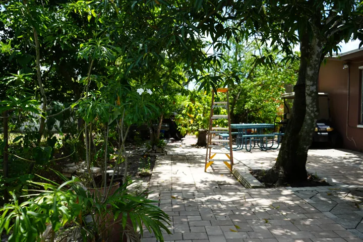 DSC00369