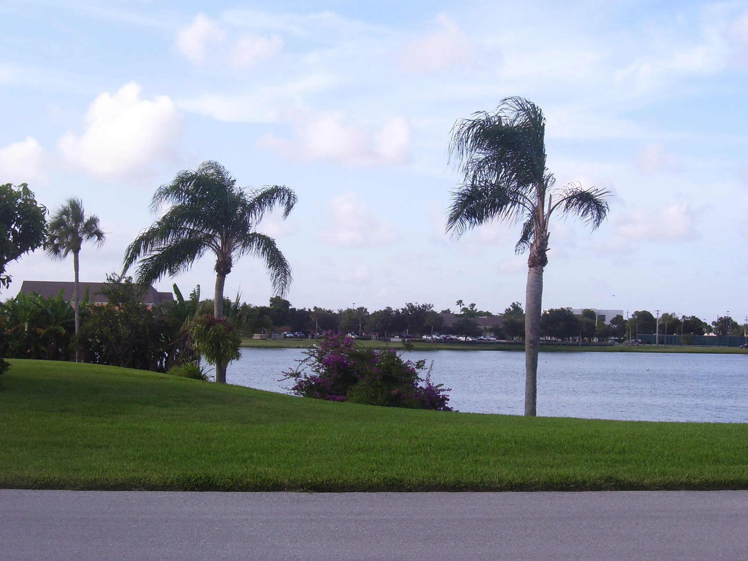 big lake 2