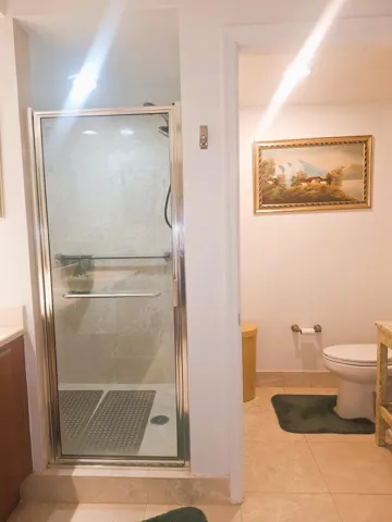 Master Bathroom Shower & Toilet
