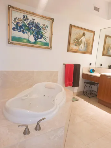 Master Bathroom Tub