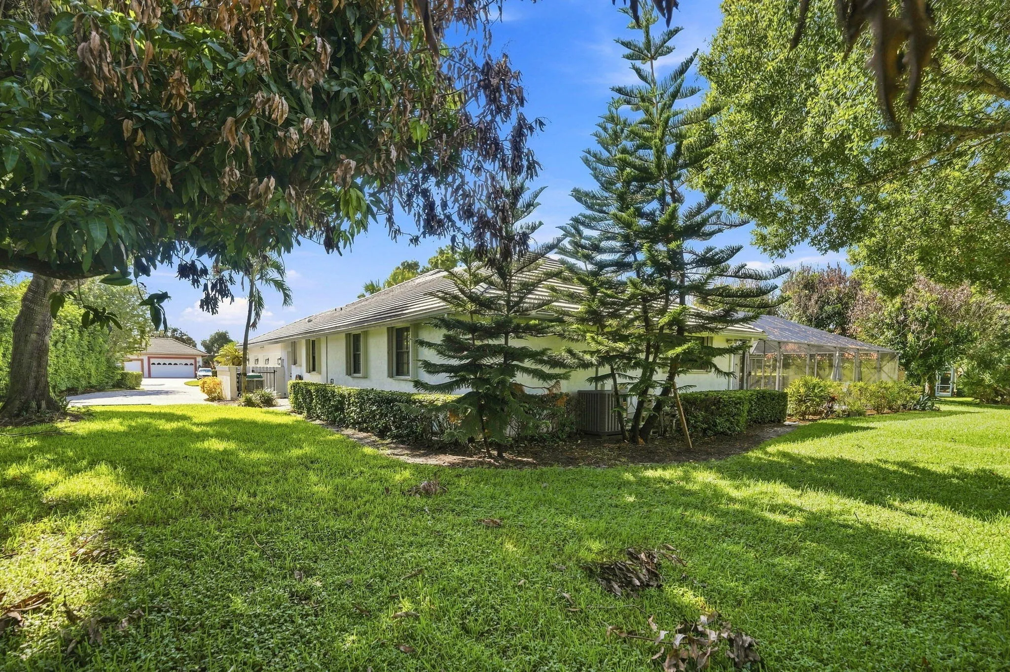Property photo 41