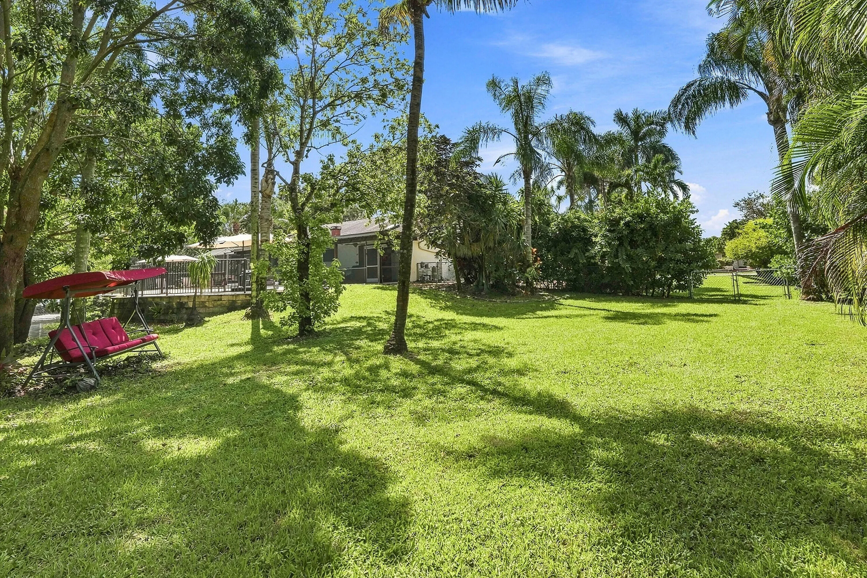 Backyard and Mature Trees