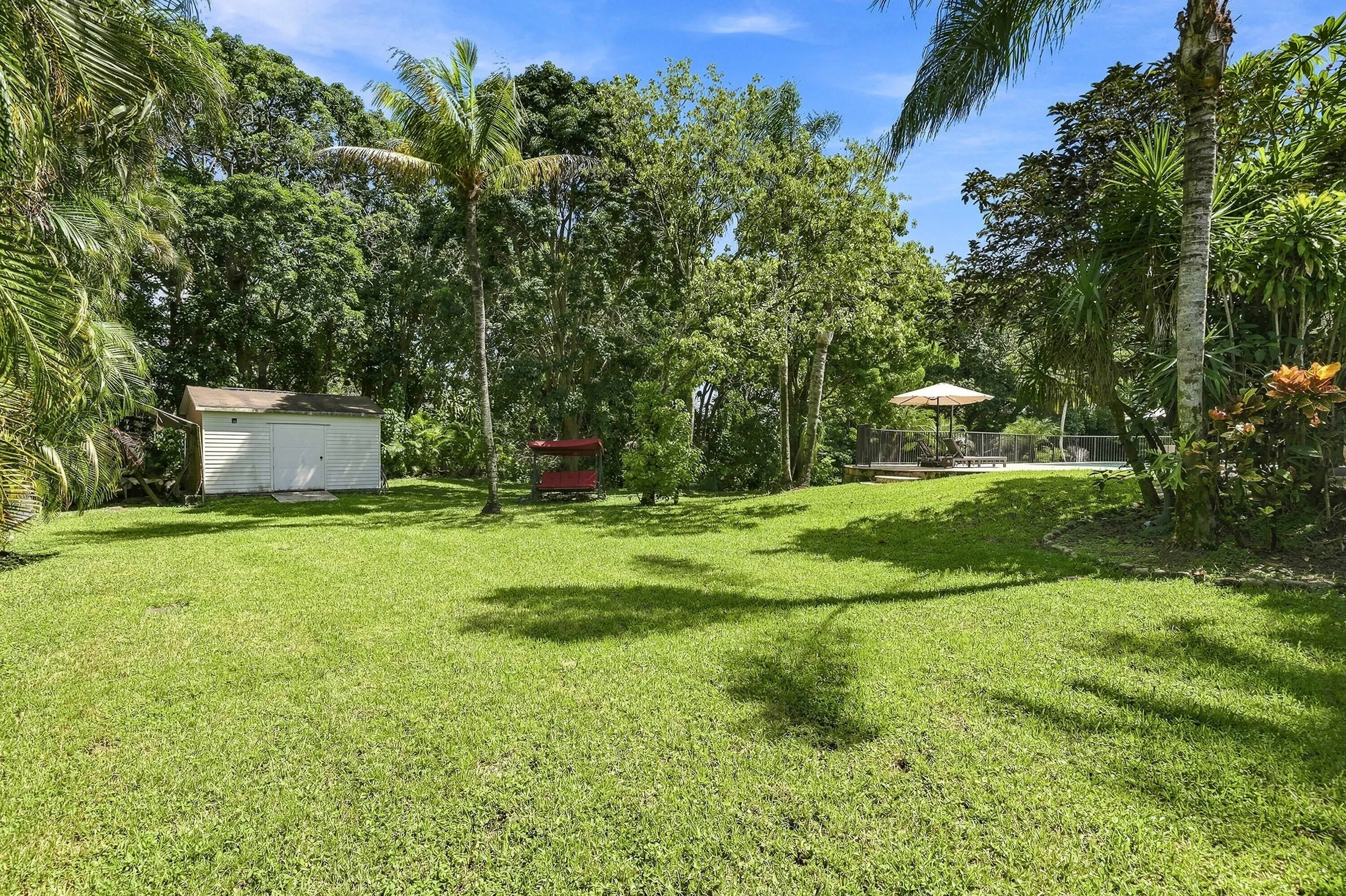 Backyard