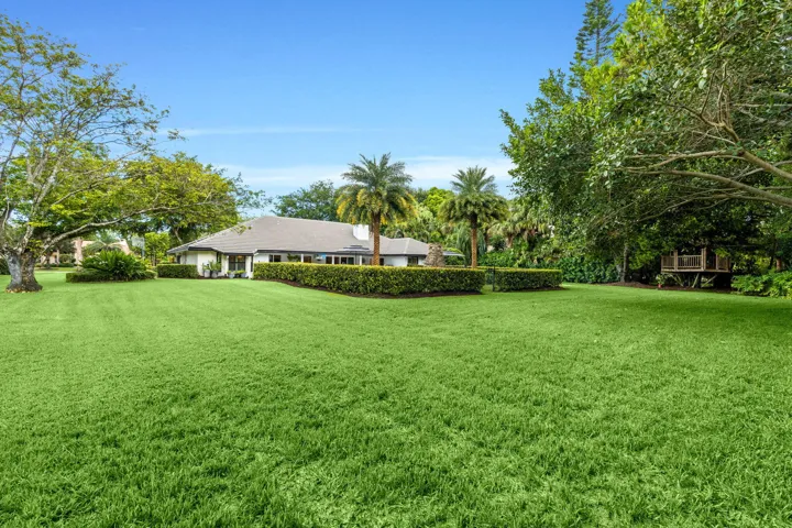 73-web-or-mls-A7406482
