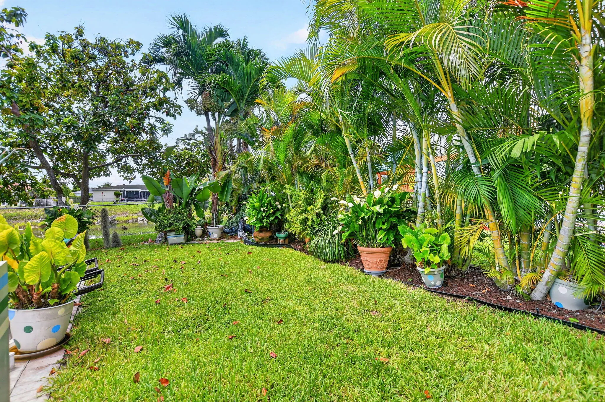 11078 back yard 2