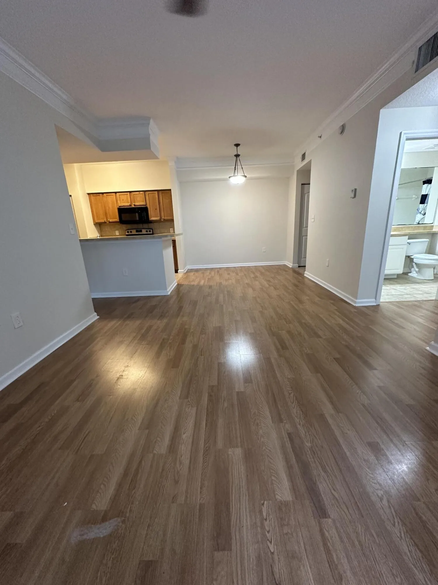 Living Room/ Kitchen / Dining
