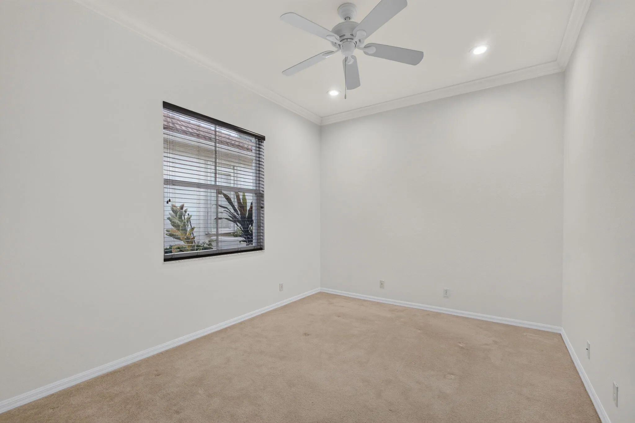 38-web-or-mls-5D1A2955
