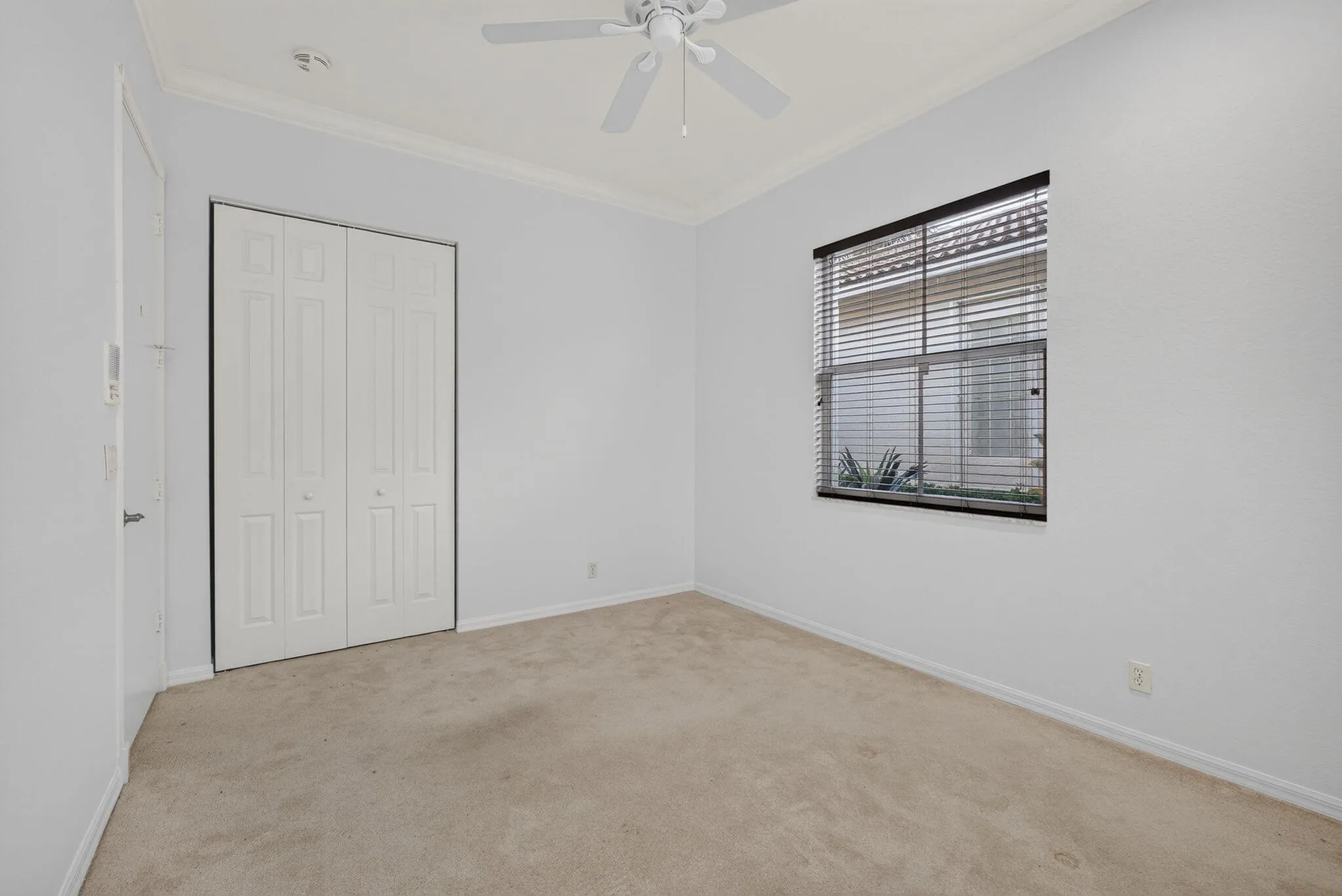 37-web-or-mls-5D1A2950