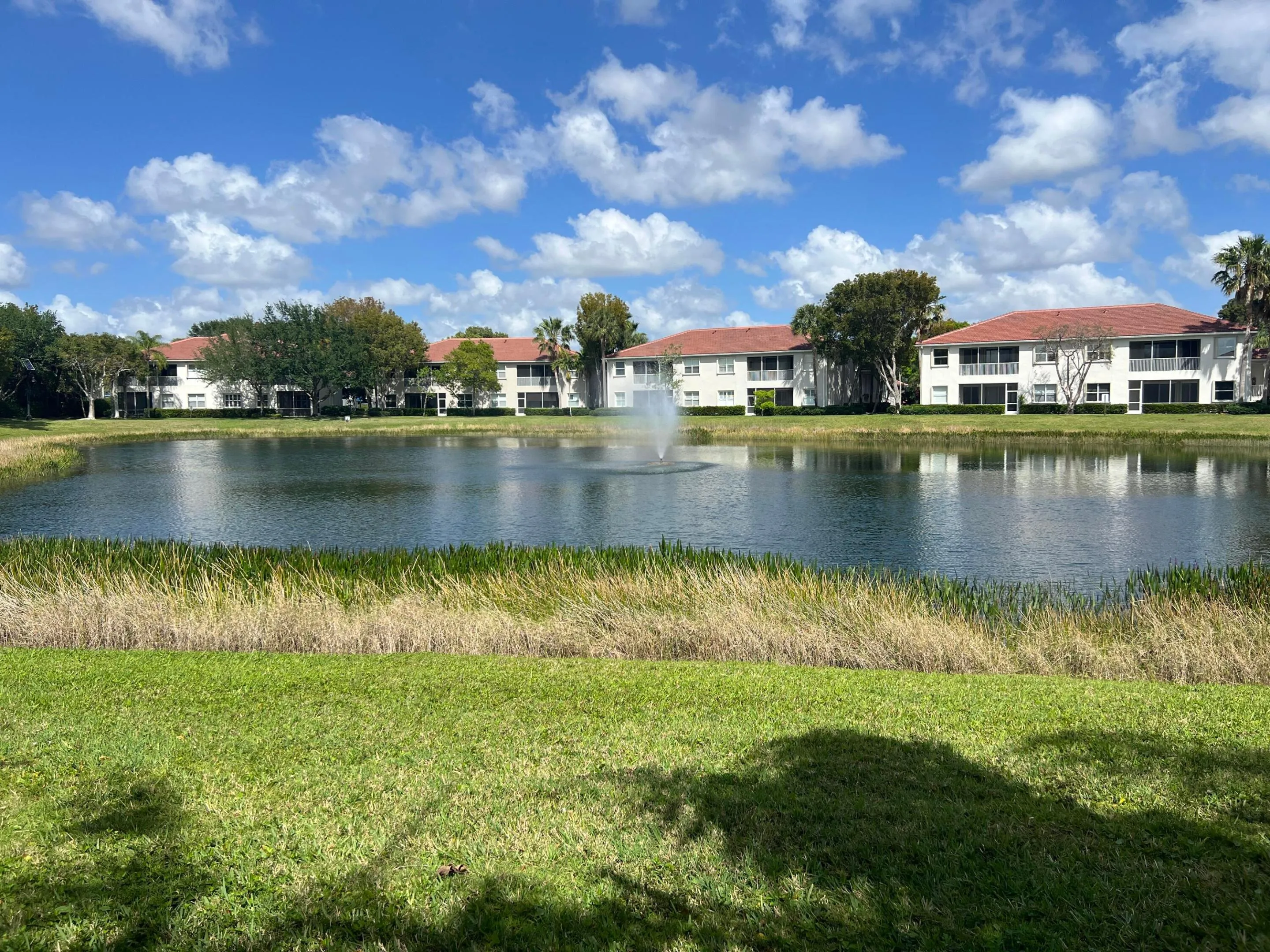 View of Pond from Patio