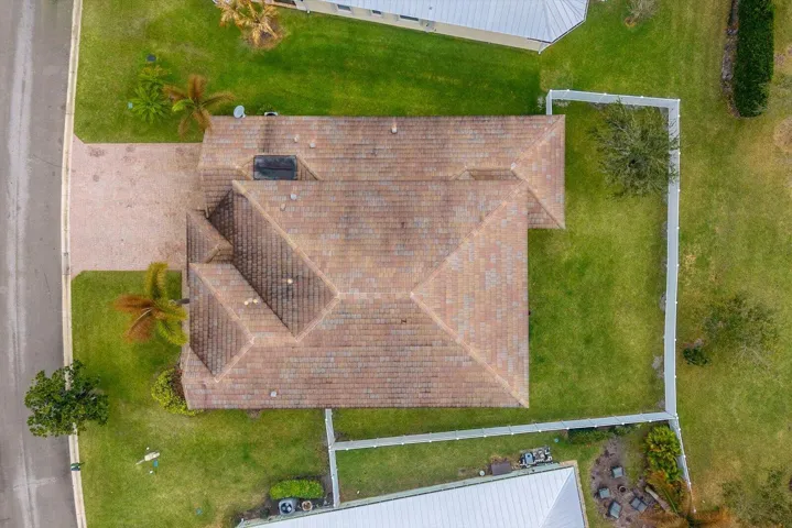 Bird View