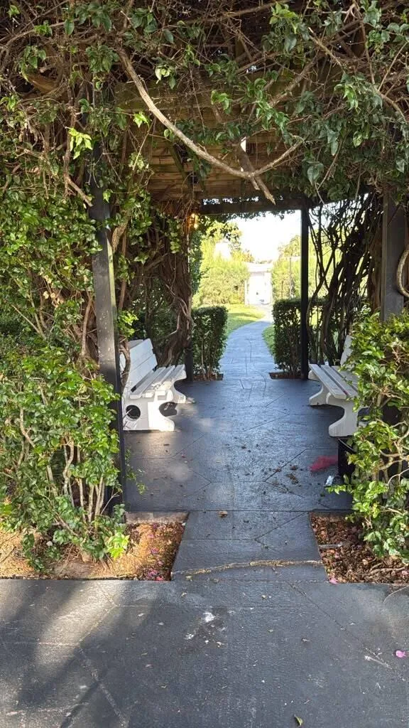Common area Pergola 3