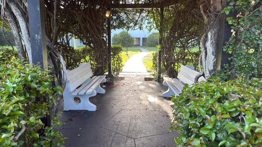 Common area Pergola 2