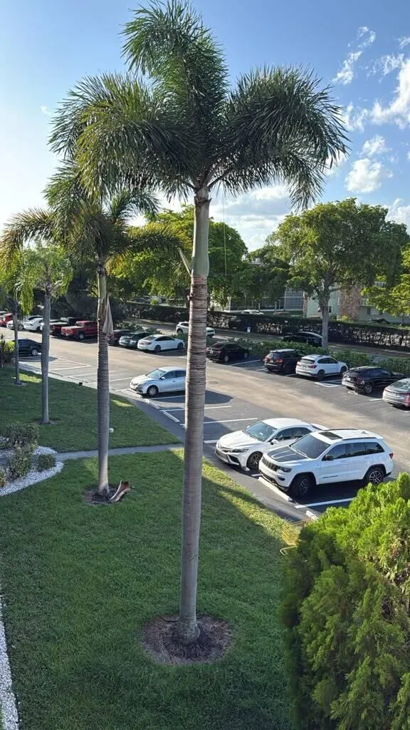 Parking Area 3
