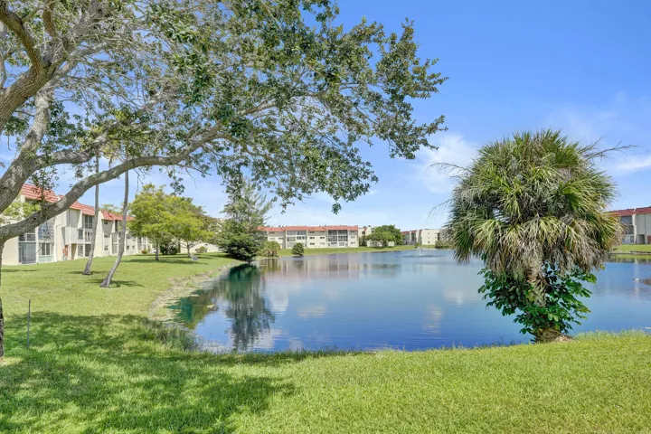 Backyard Lake