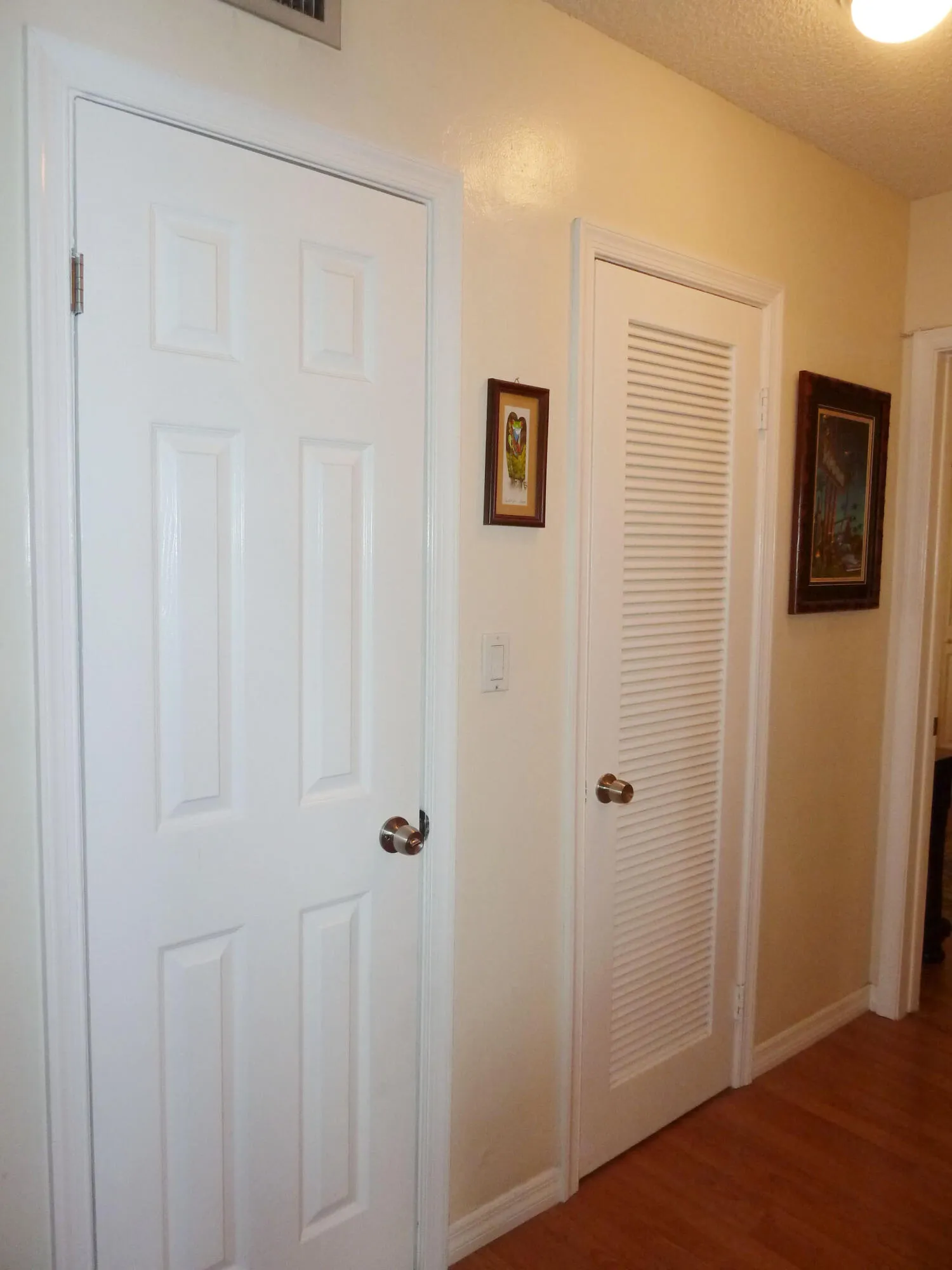 Hallway & Storage Closet