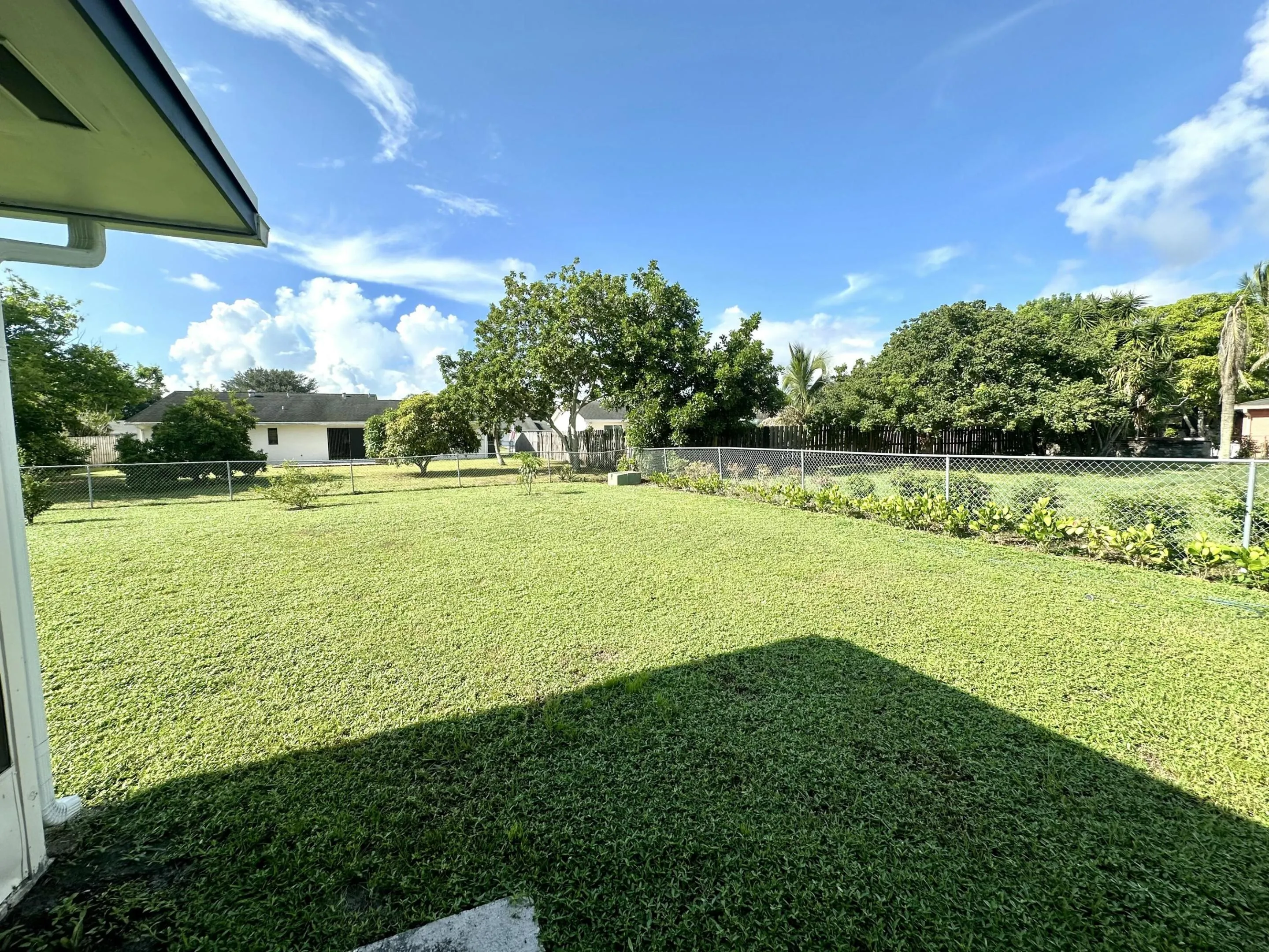 Backyard