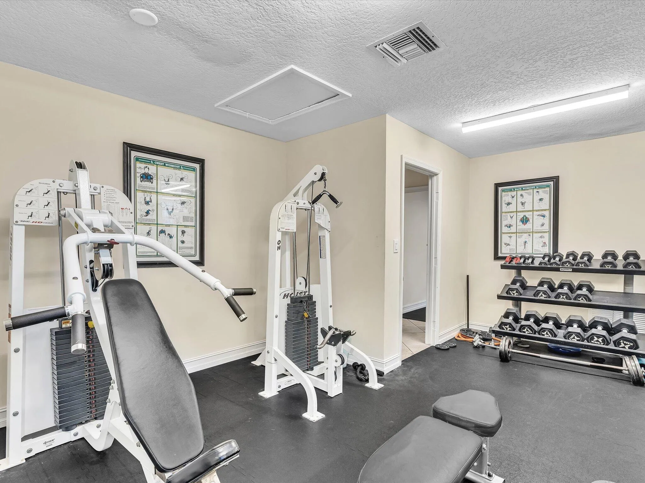 Who needs a Gym Membership?